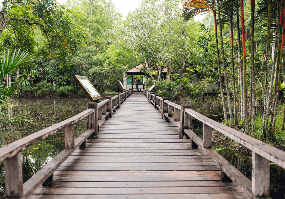 Walkway through Thai nature preserve.